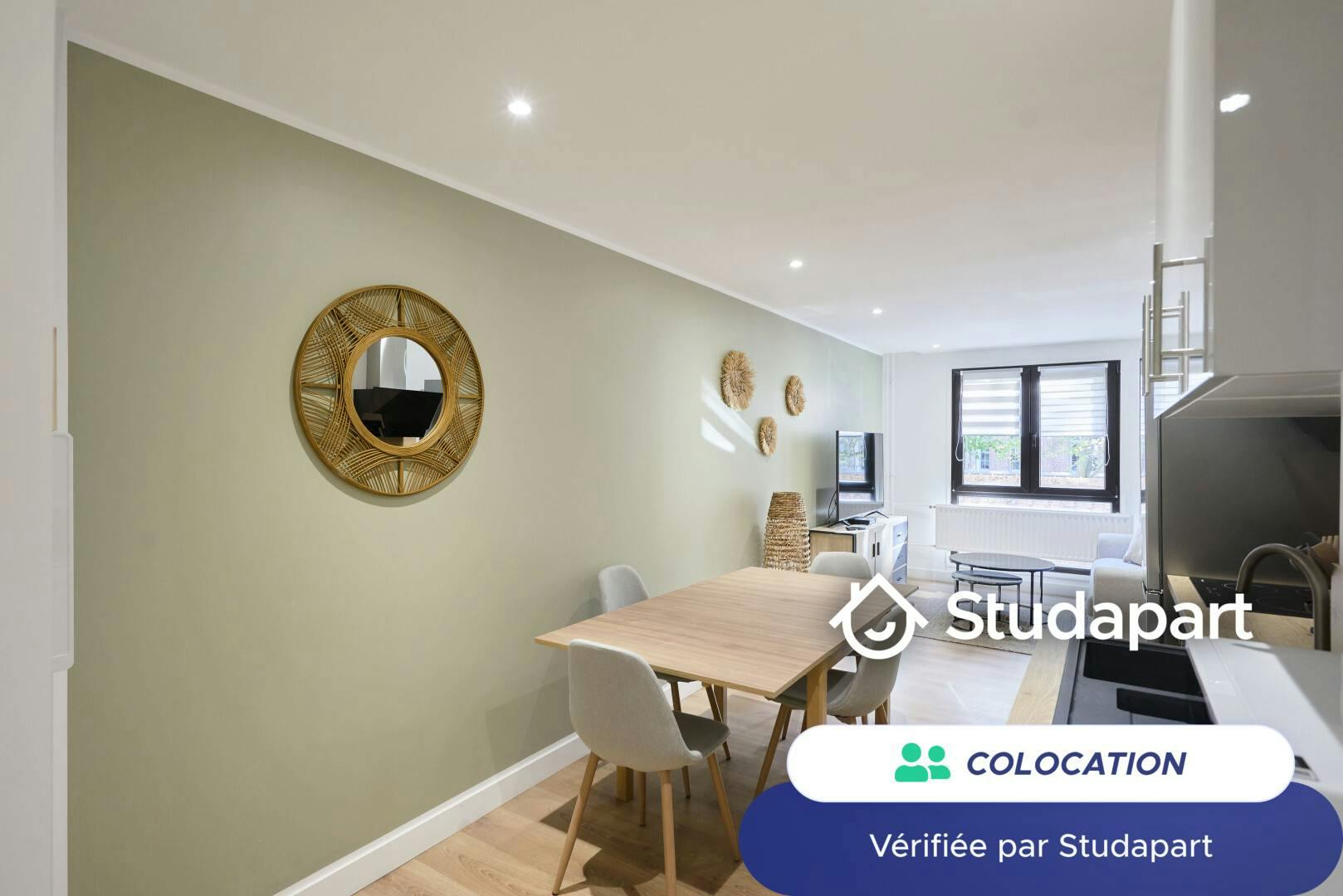 Private room for rent on Rue Philippe-Laurent Roland, Lille - Plus