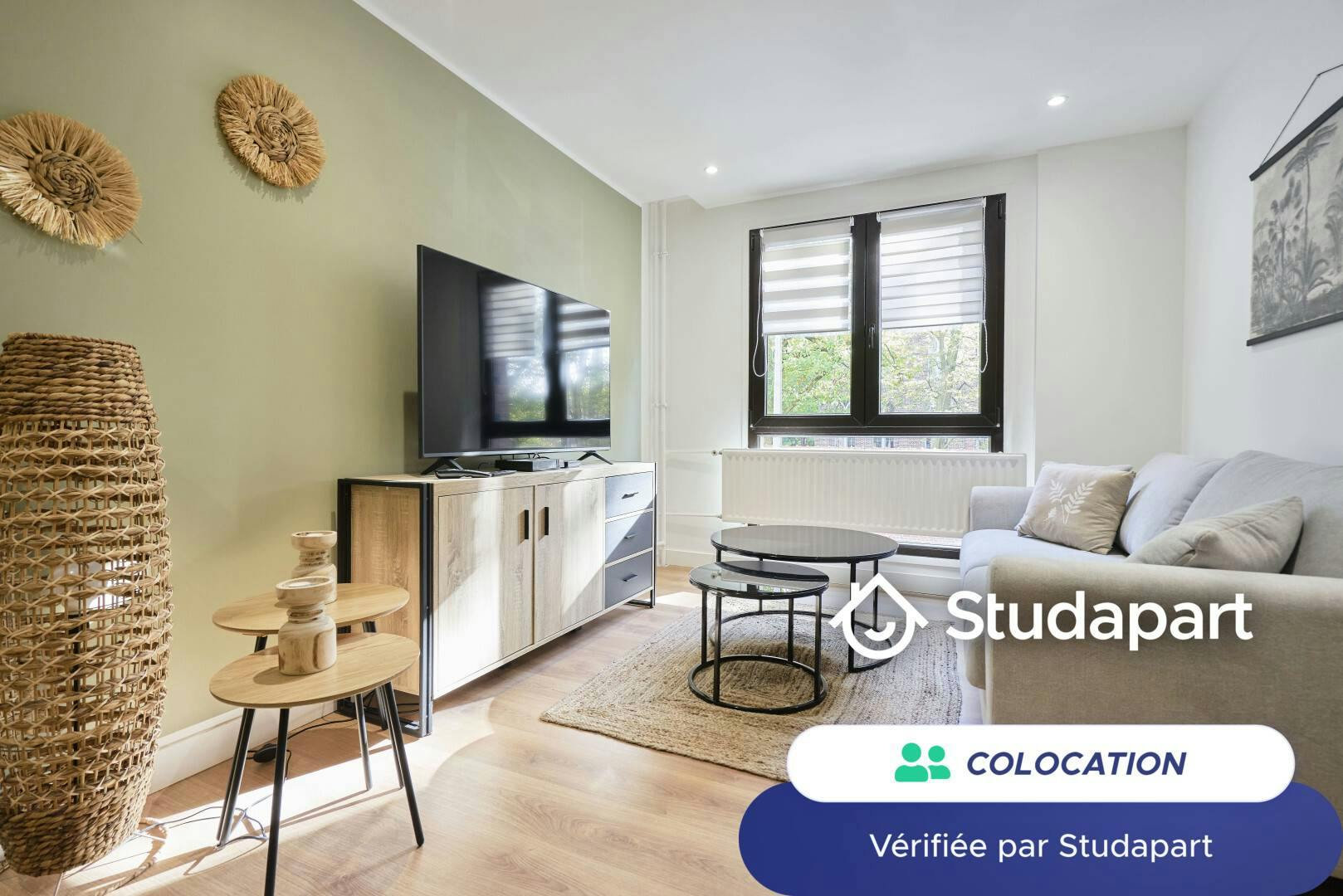 Private room for rent on Rue Philippe-Laurent Roland, Lille - Vue 4