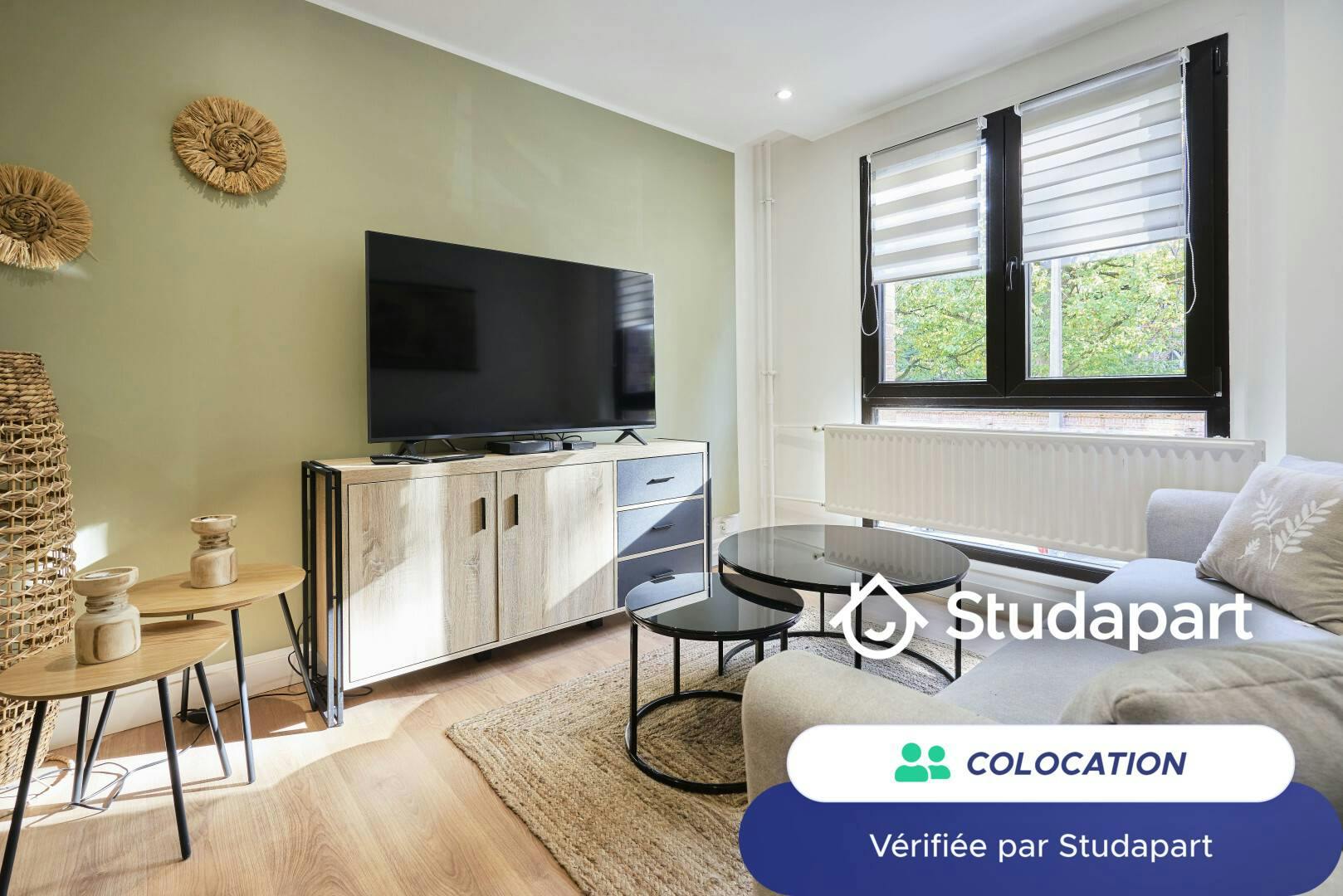 Private room for rent on Rue Philippe-Laurent Roland, Lille - Vue 5