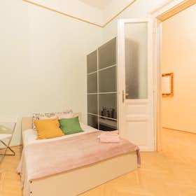 Private room for rent for HUF 156,574 per month in Budapest, Liszt Ferenc tér