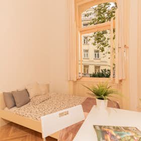 Private room for rent for HUF 157,094 per month in Budapest, Liszt Ferenc tér