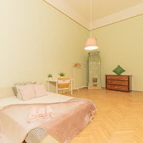 Private room for rent for HUF 157,670 per month in Budapest, Liszt Ferenc tér