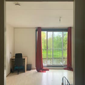 WG-Zimmer for rent for 890 € per month in Amsterdam, Chico Mendesstraat