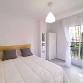 Chambre privée for rent for 270 € per month in Granada, Calle Julio Moreno Dávila