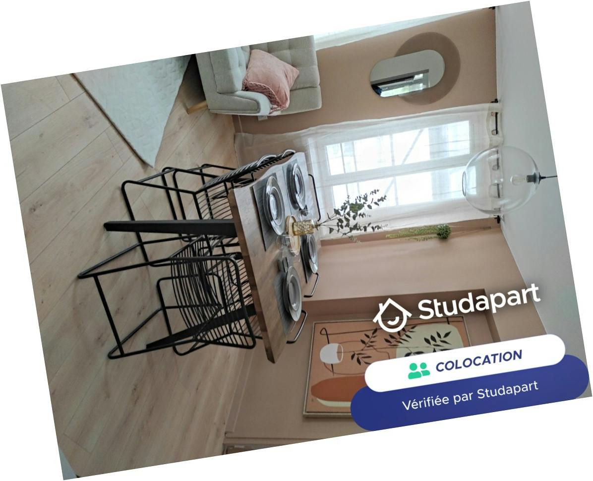 Private room for rent on Rue Rabelais, Lille - Vue 3
