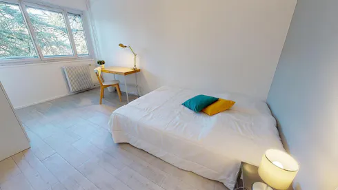 Private room for rent on Rue Professeur Patel, Lyon