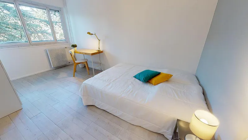 Rue Professeur Patel, Lyon - a Lione