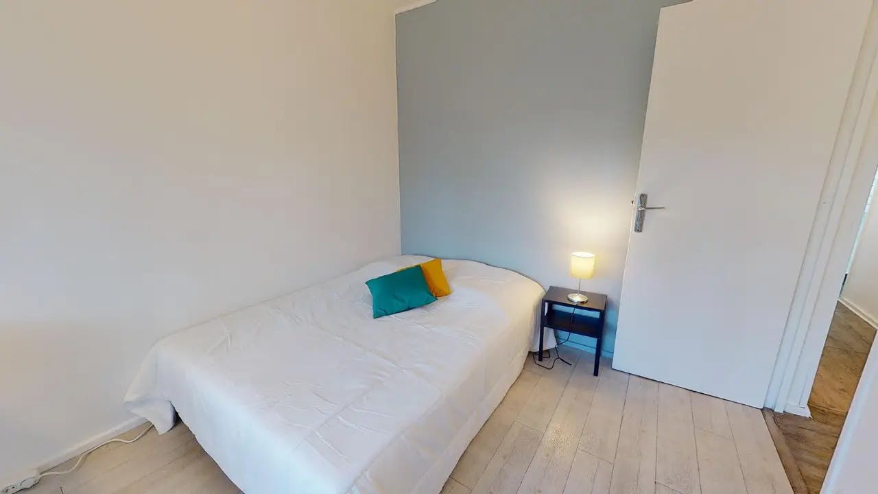 Private room in Rue Professeur Patel, Lyon (1509683) room image 2