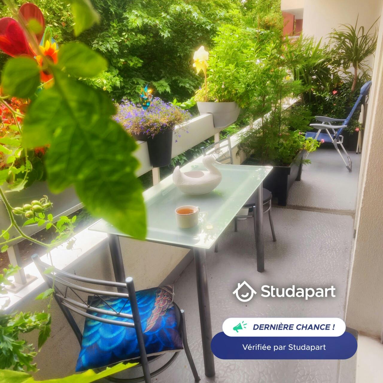 Appartement – Bordeaux, Cardoze, Caudéran - Vue 3