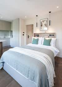 单间公寓 正在以 £2,020 的月租出租，其位于 London, Philbeach Gardens