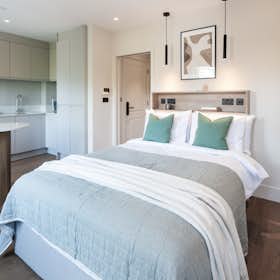单间公寓 正在以 £2,020 的月租出租，其位于 London, Philbeach Gardens