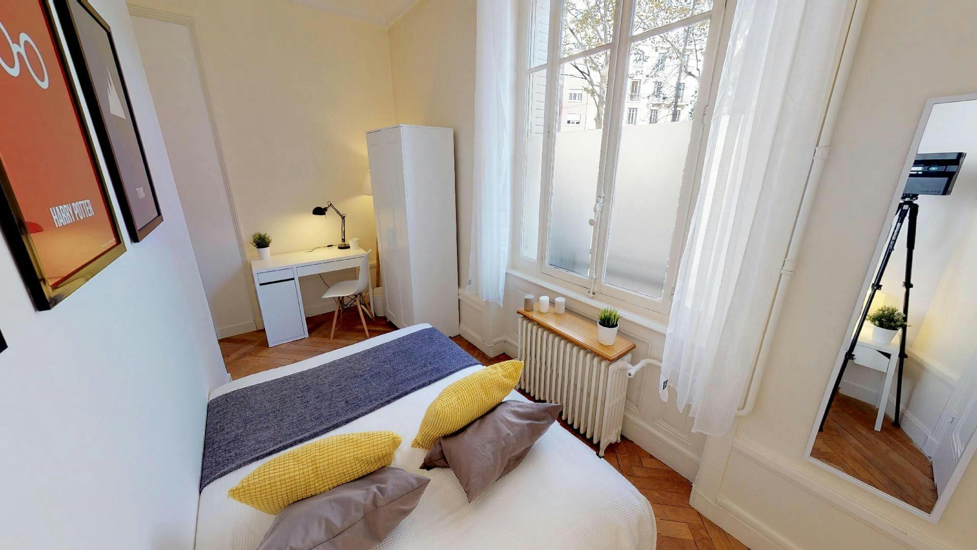 Private room for rent on Boulevard des Belges, Lyon