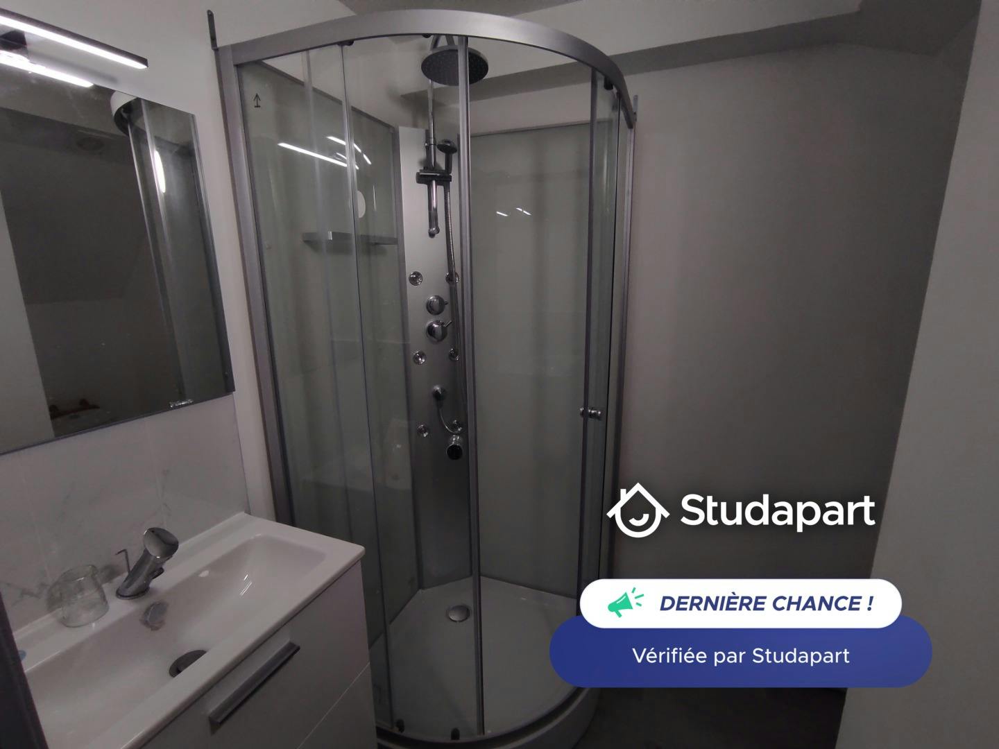 Apartment for rent on Rue du Général de Gaulle, Mons-en-Barœul – pohled 6