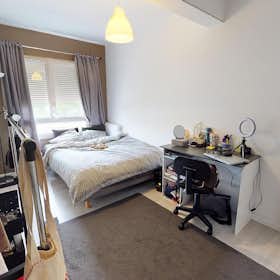 Private room for rent for €381 per month in Dijon, Boulevard Mansart