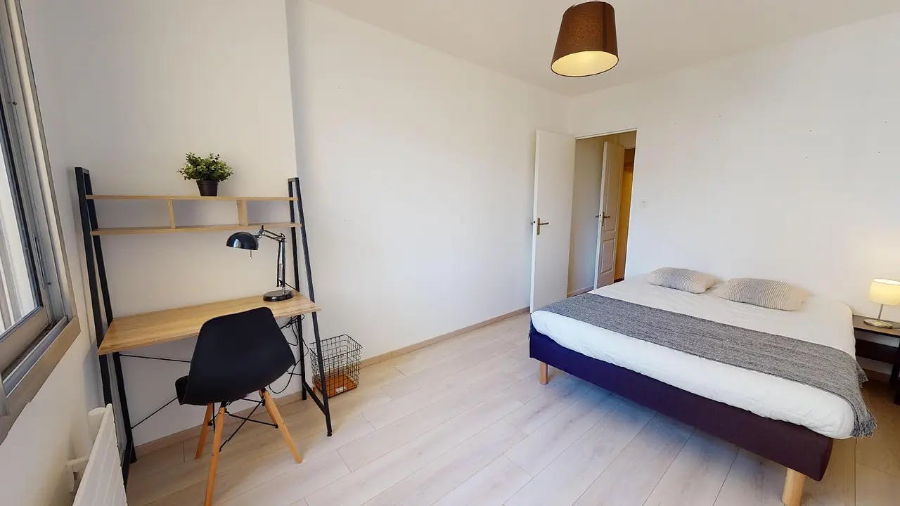 Rue Claudius Pionchon, Lyon preview