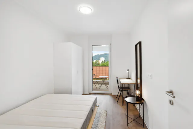 Private room in Waagner-Biro-Straße, Graz (1511189) room image 1