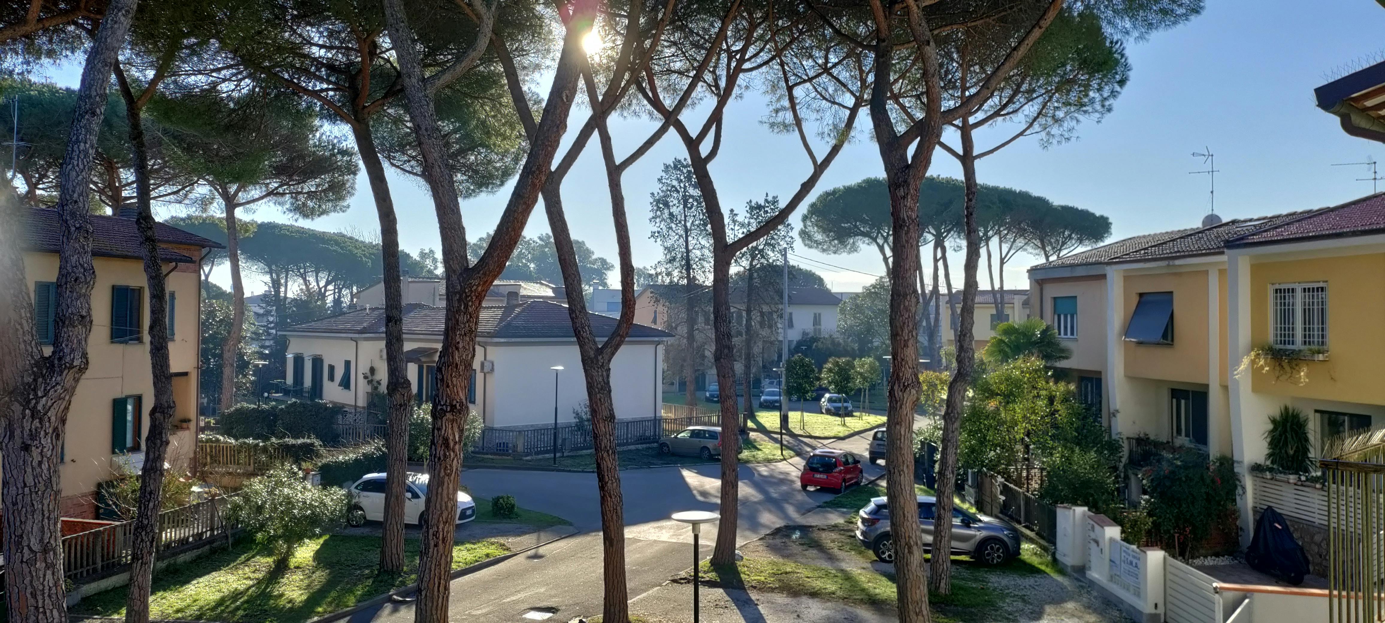 Stanza privata in affitto a 545 € al mese a Pisa, Via Andrea Costa