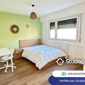 Private room for rent for €545 per month in Schiltigheim, Rue de Bretagne
