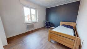 Отдельная комната сдается в аренду за 309 € в месяц в Mulhouse, Boulevard des Alliés