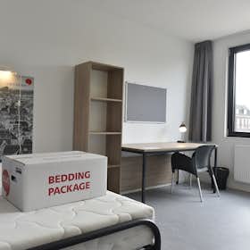 Приватна кімната за оренду для 548 EUR на місяць у Delft, Professor Schermerhornstraat