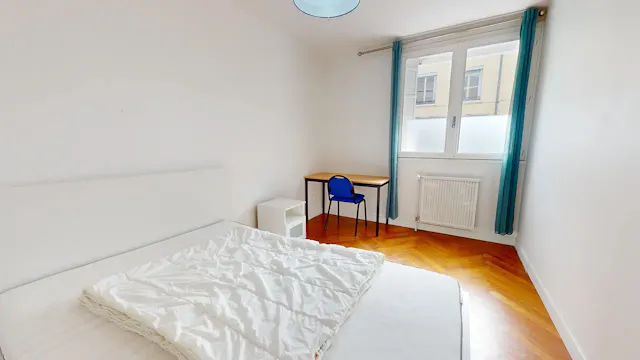 Private room in Rue Baraban, Lyon (1512127) room image 2