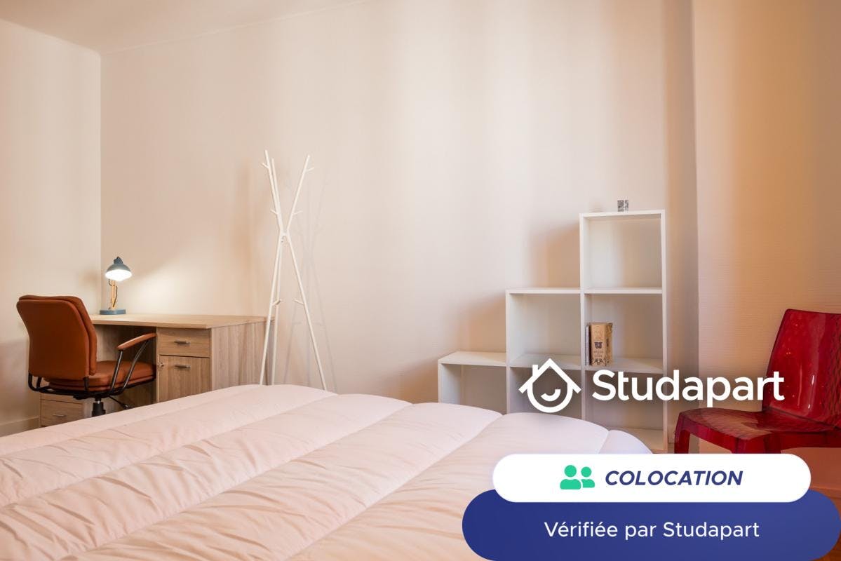 Private room for rent on Rue Gervais Bussière, Villeurbanne - Prikaz 5