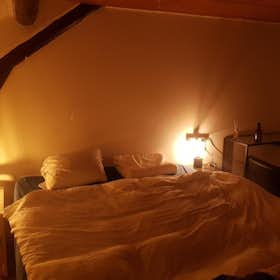 私人房间 正在以 €950 的月租出租，其位于 Esch-sur-Alzette, Rue du Brill