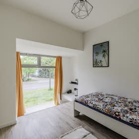 Private room for rent for €630 per month in Berlin, Winckelmannstraße
