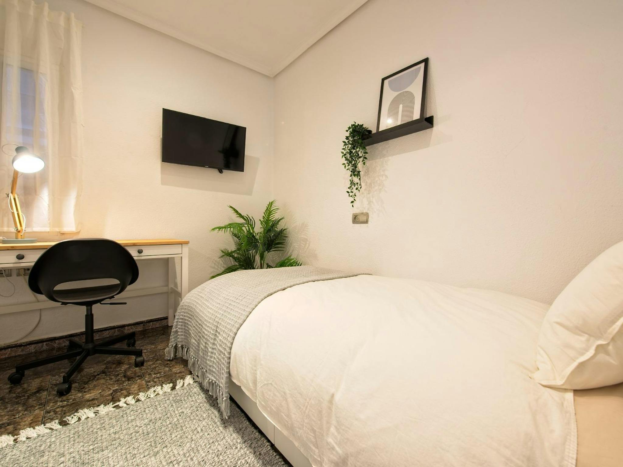 Avenida de Ausiàs March, Valencia preview