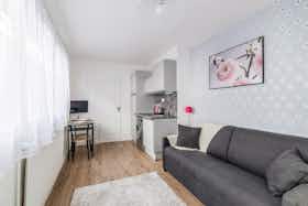 单间公寓 正在以 €1,000 的月租出租，其位于 Paris, Rue Louis Blanc