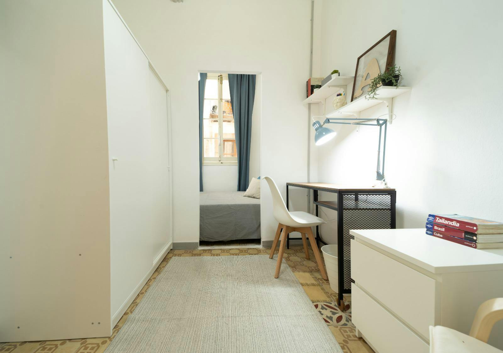 Carrer de la Boqueria, Barcelona preview