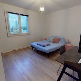 Private room for rent for €539 per month in Strasbourg, Rue d'Upsal