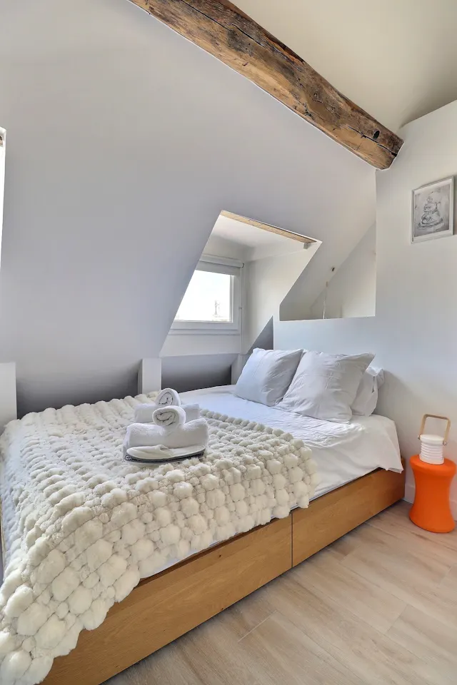 1-Bedroom Apartment in Rue Paul Lelong, Paris (1512850) room image 110