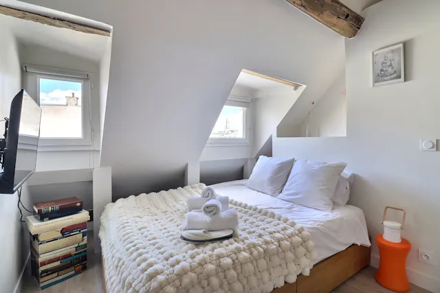 1-Bedroom Apartment in Rue Paul Lelong, Paris (1512850) room image 2