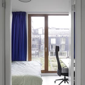 Chambre privée à louer pour 1 195 €/mois à Amsterdam, Strandeilandlaan