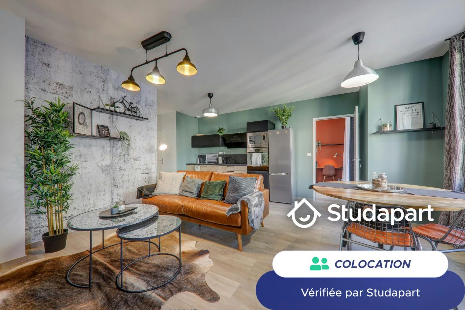 Private room for rent on Rue Villon, Lyon