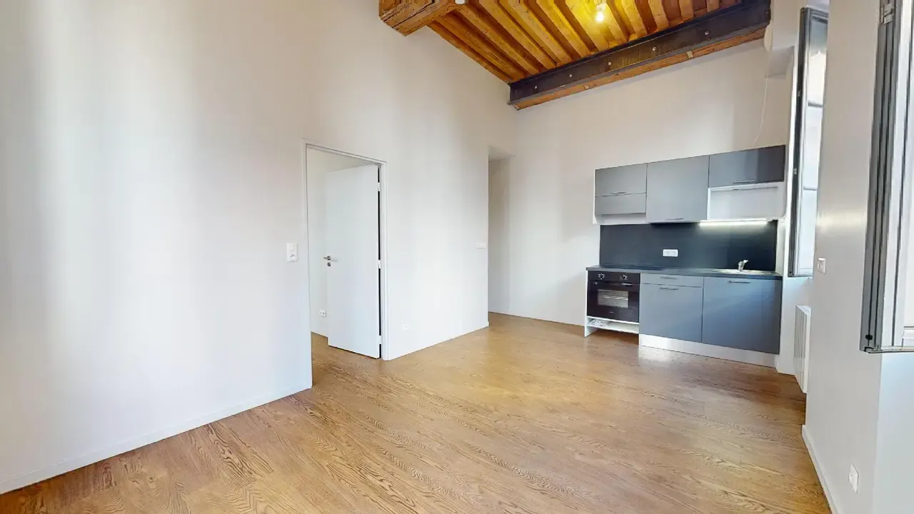 1-Bedroom Apartment in Rue Marius Gonin, Lyon (1513174) ROOM 1