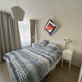 Apartamento en alquiler por 1750 € al mes en Amsterdam, Goudsbloemstraat