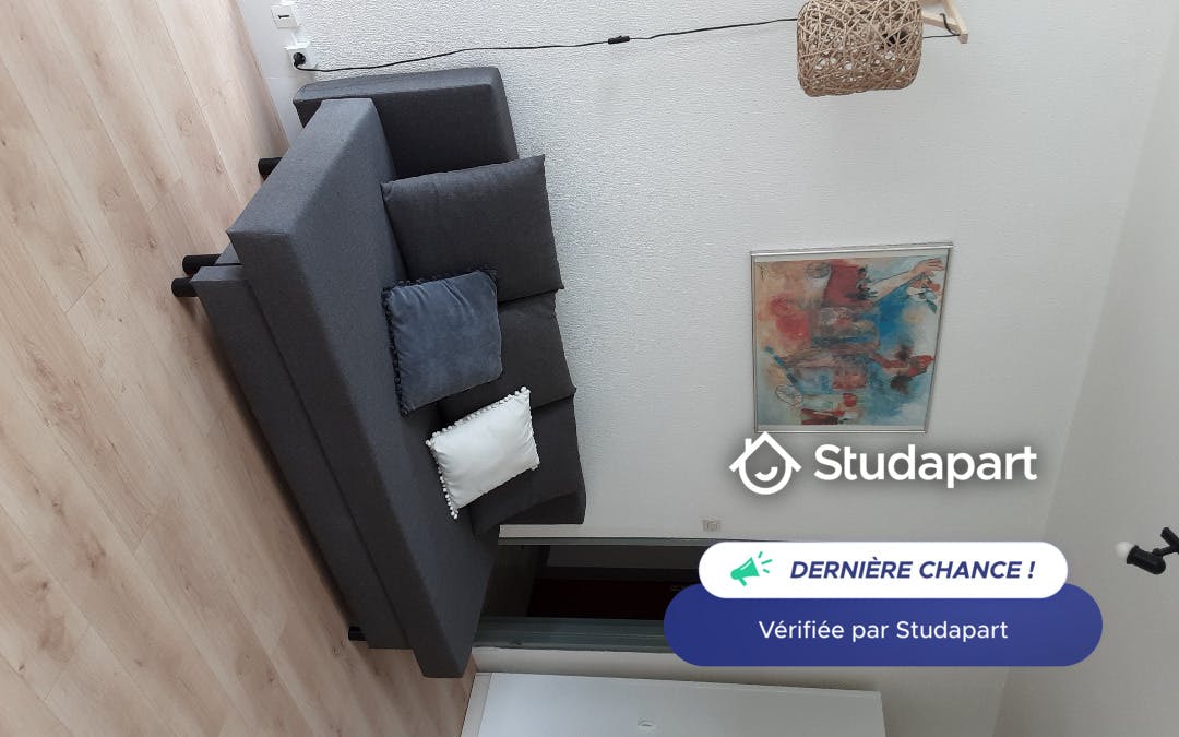 Apartment for rent on Rue Crozet-Boussingault, Saint-Étienne – pohled 5