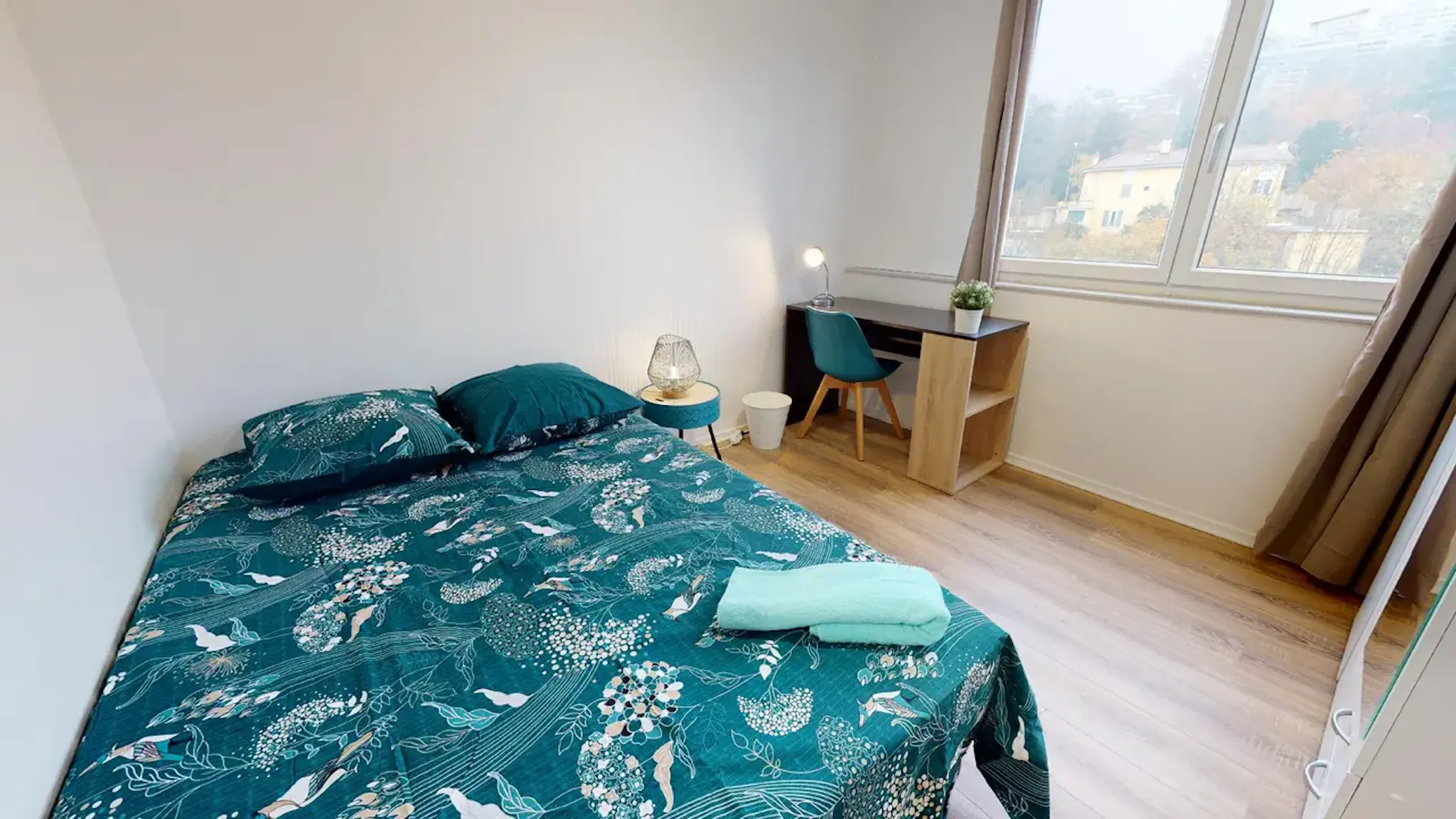 Rue de Saint-Cyr, Lyon preview