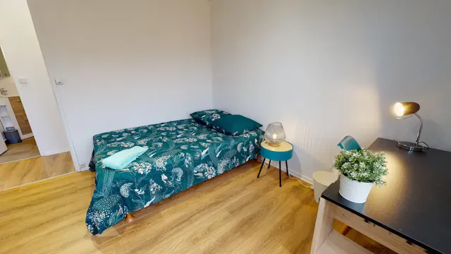 Private room in Rue de Saint-Cyr, Lyon (1513797) room image 1