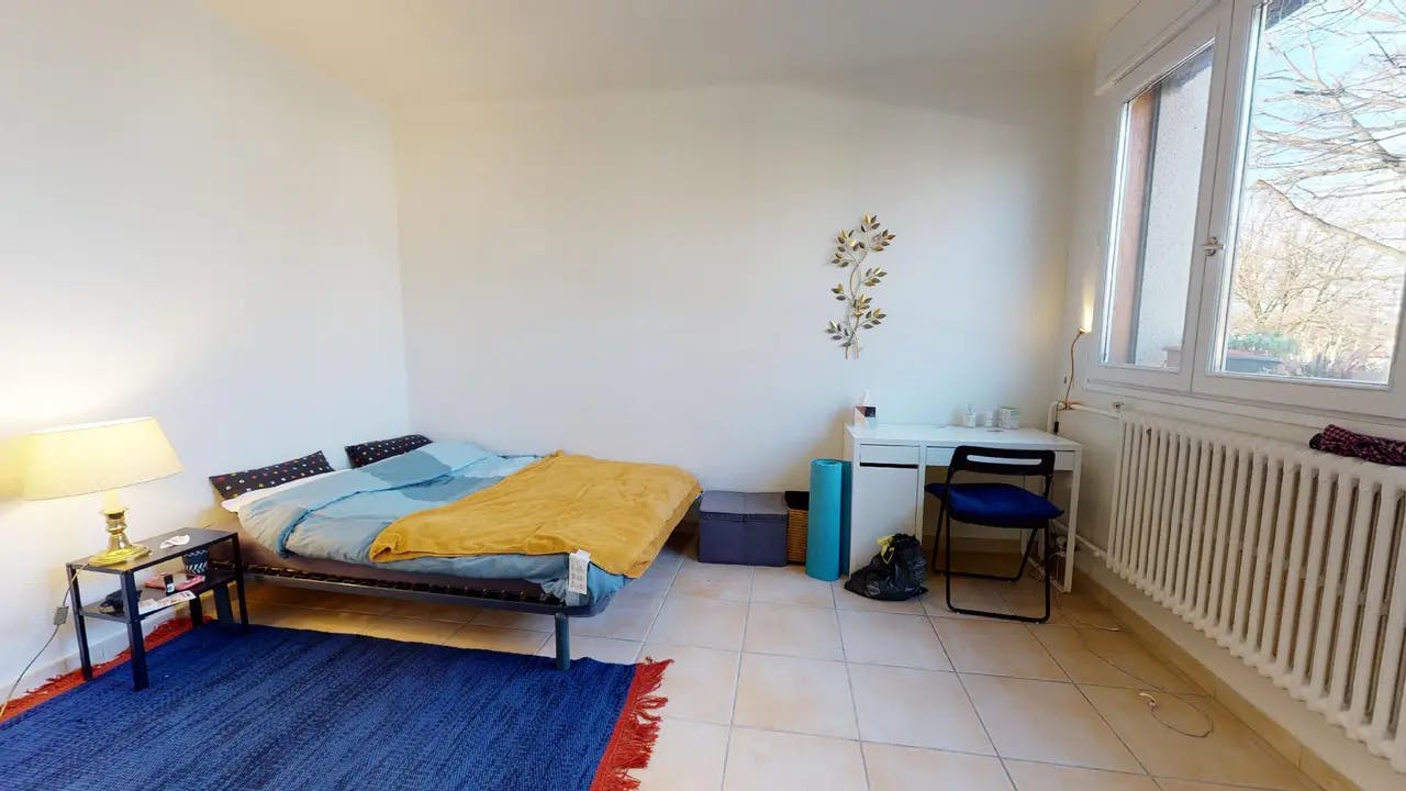 Private room in Boulevard du Docteur Coblod, Vénissieux (1513869) ROOM