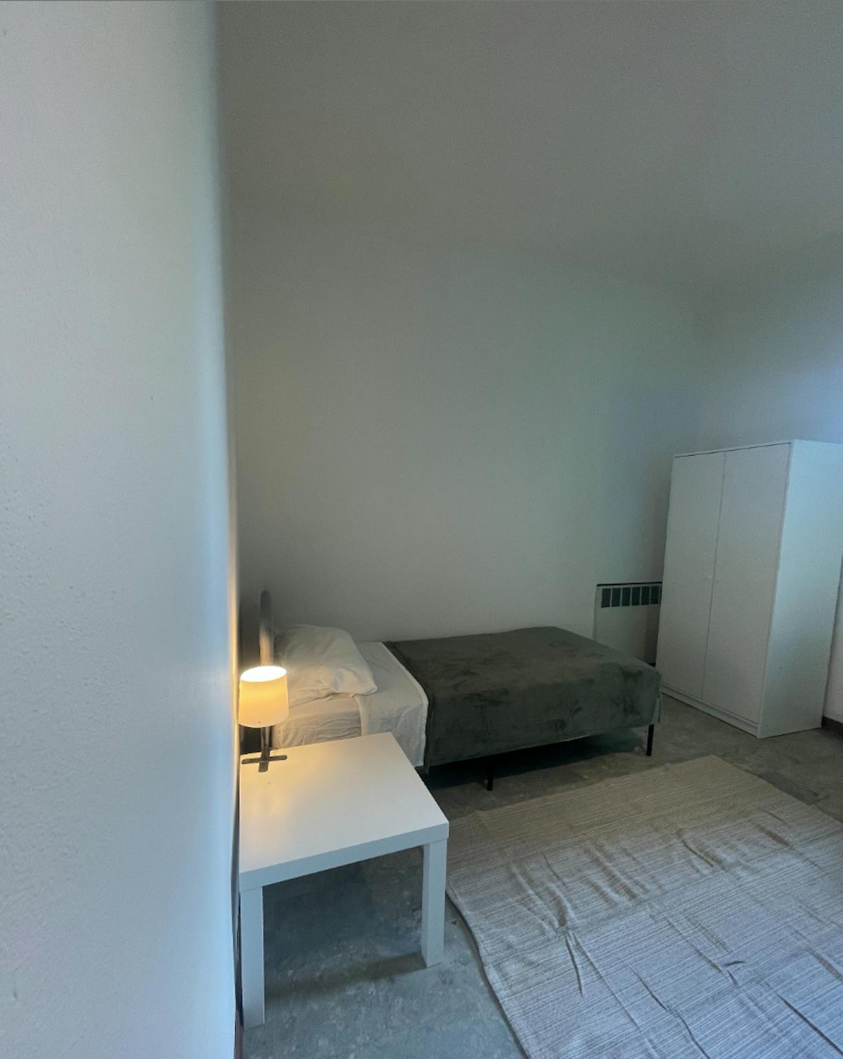 Viale Giuseppe Barilli Quirico Filopanti, Bologna preview