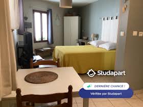 Apartament de închiriat pentru 480 EUR pe lună în Avignon, Rue Damette