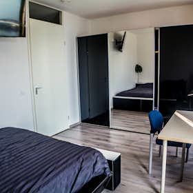 Private room for rent for €750 per month in Rotterdam, Maashaven Noordzijde
