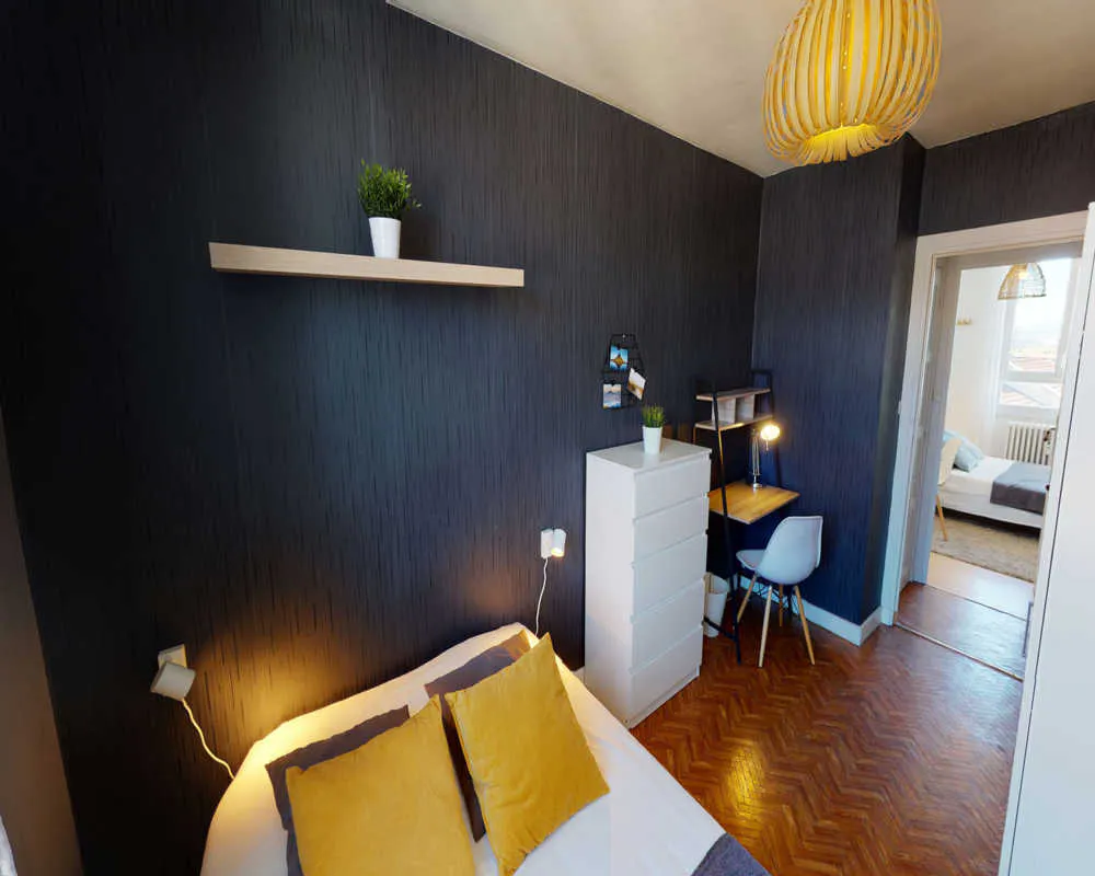 Private room in Avenue Berthelot, Lyon (1514635) ROOM