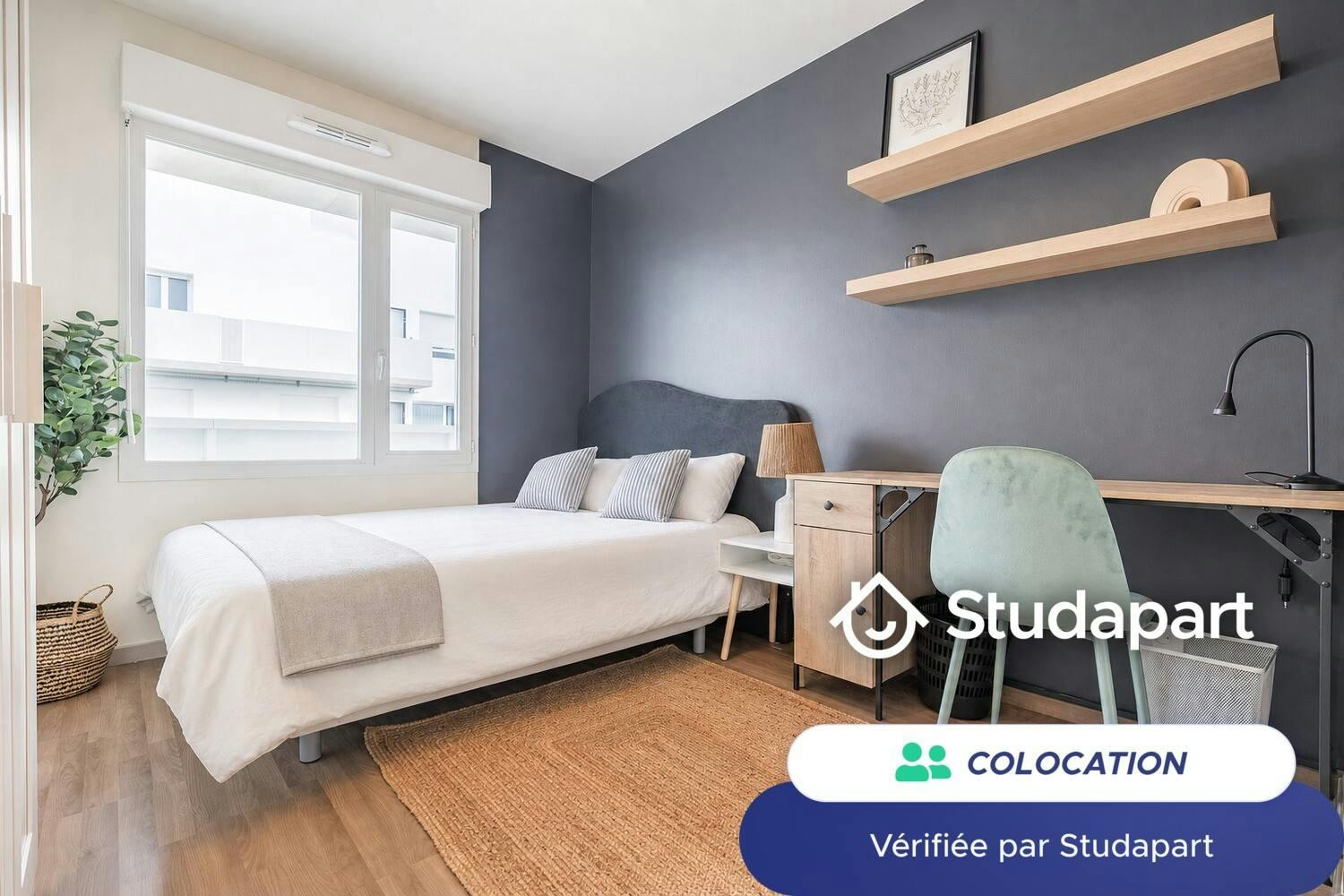 Private room for rent on Sente Marie Galante, Bordeaux - Vue 4