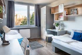 Общая комната сдается в аренду за 1 118 PLN в месяц в Kraków, ulica Koszykarska