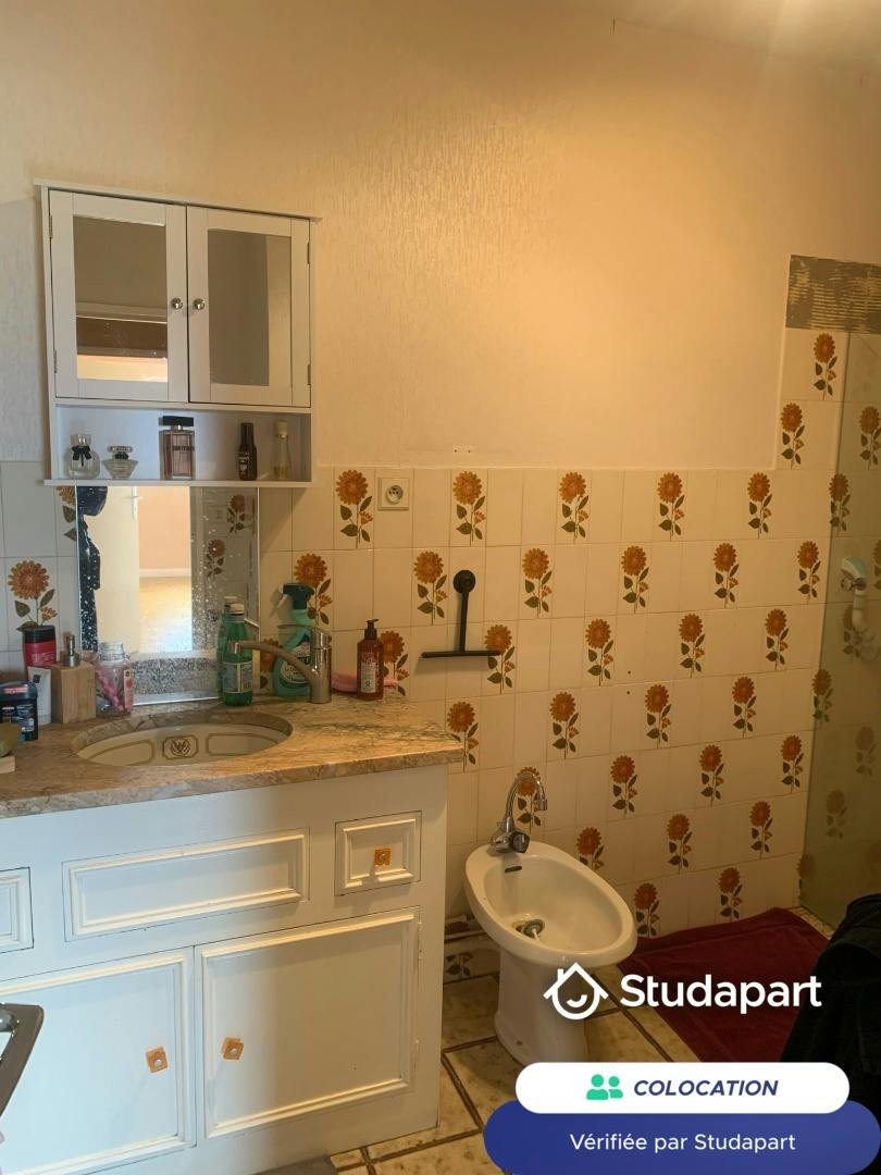 Apartment in Villeurbanne - More