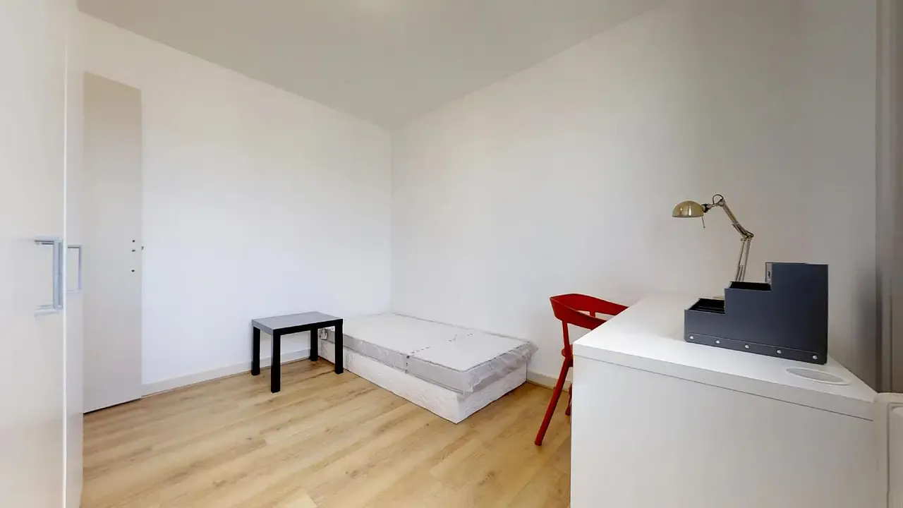 Private room in Rue Saint-Agnan, Lyon (1515153) ROOM 3